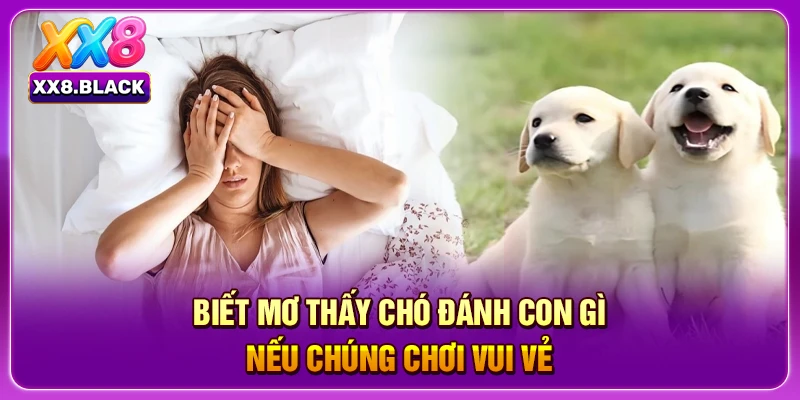 Biết mơ thấy chó đánh con gì nếu chúng chơi vui vẻ