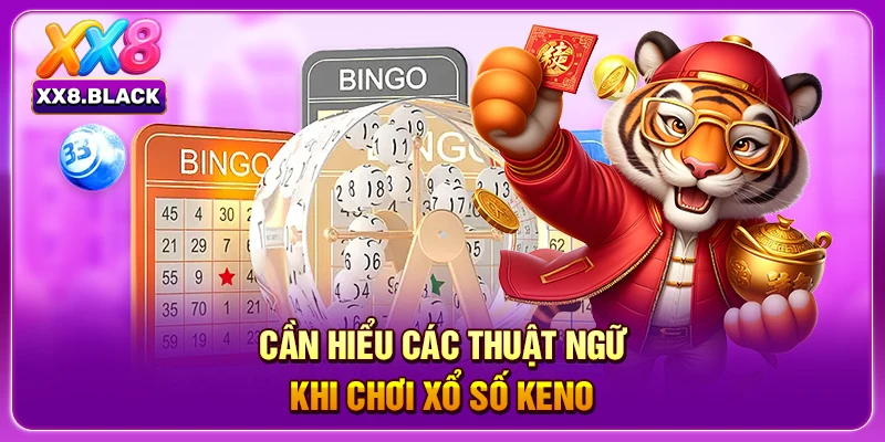 Cần hiểu các thuật ngữ khi chơi xổ số keno