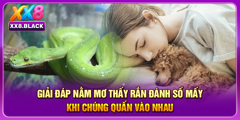 Giải đáp nằm mơ thấy rắn đánh số mấy khi chúng quấn vào nhau