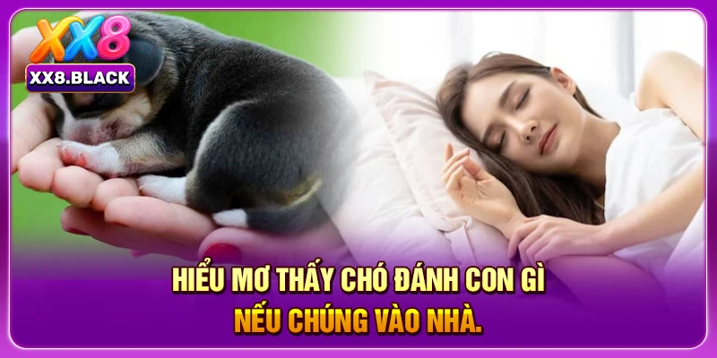 Hiểu mơ thấy chó đánh con gì nếu chúng vào nhà