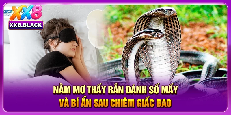 Nằm Mơ Thấy Rắn Đánh Số Mấy Và Bí Ẩn Sau Chiêm Giấc Bao