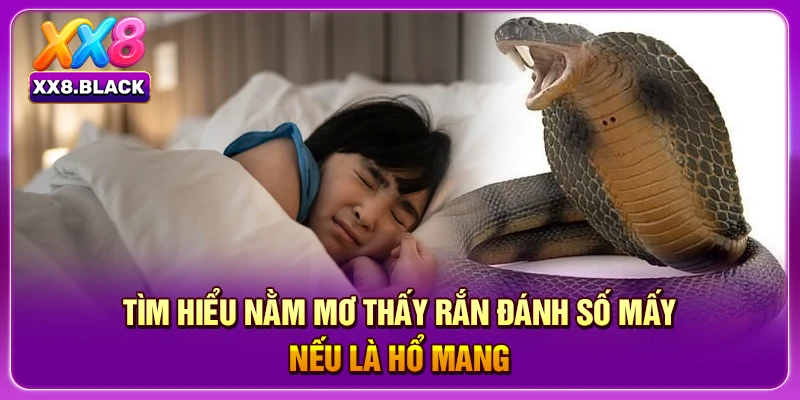 Tìm hiểu nằm mơ thấy rắn đánh số mấy nếu là hổ mang