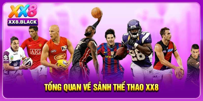 Tổng quan về sảnh thể thao XX8